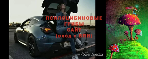 PSILOCYBIN Елабуга