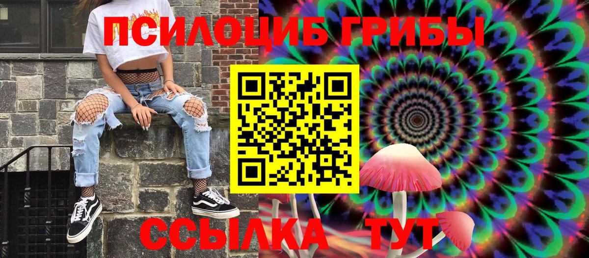 Россия  Псилоцибиновые грибы Psilocybine cubensis  Вход с VPN  Галлюциногенные грибы MAGIC MUSHROOMS 