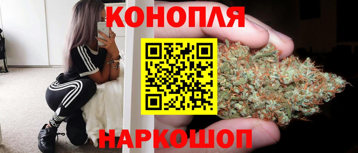 Марихуана сатива Россия